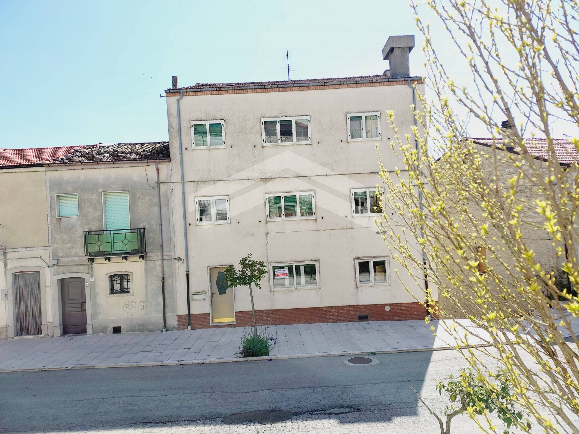 immagine annuncio 3 di 6