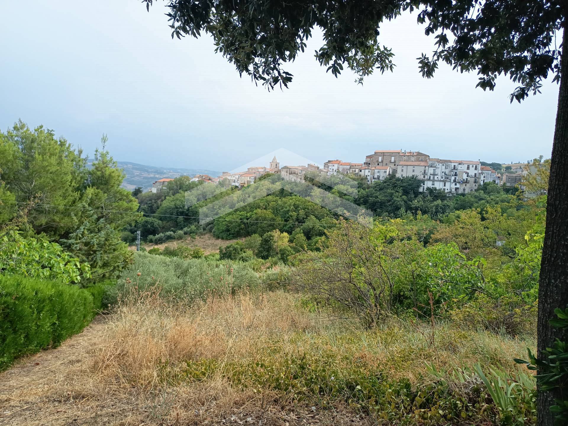 Terreno Agricolo in vendita a Castelbottaccio