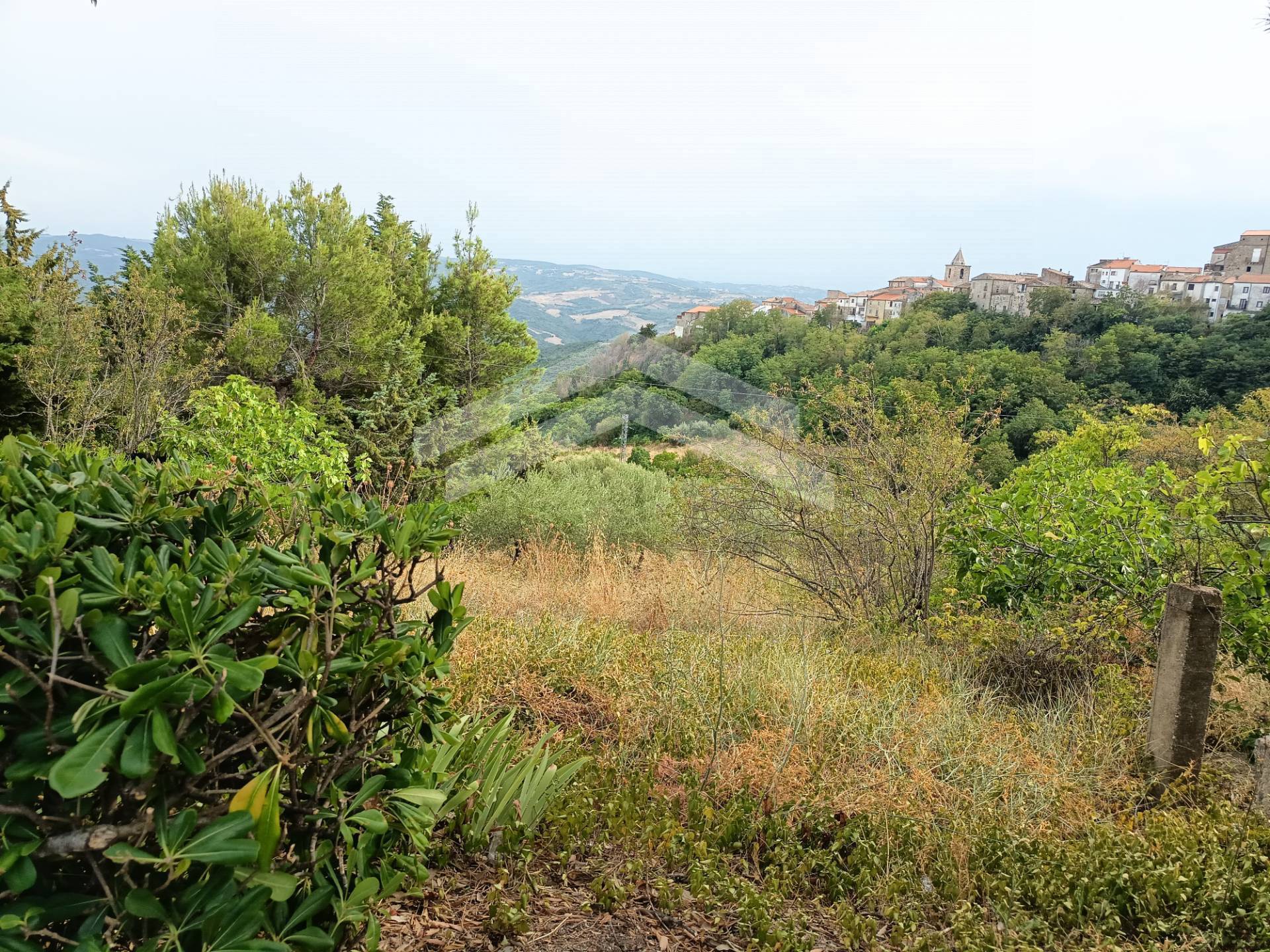 Terreno Agricolo in vendita a Castelbottaccio