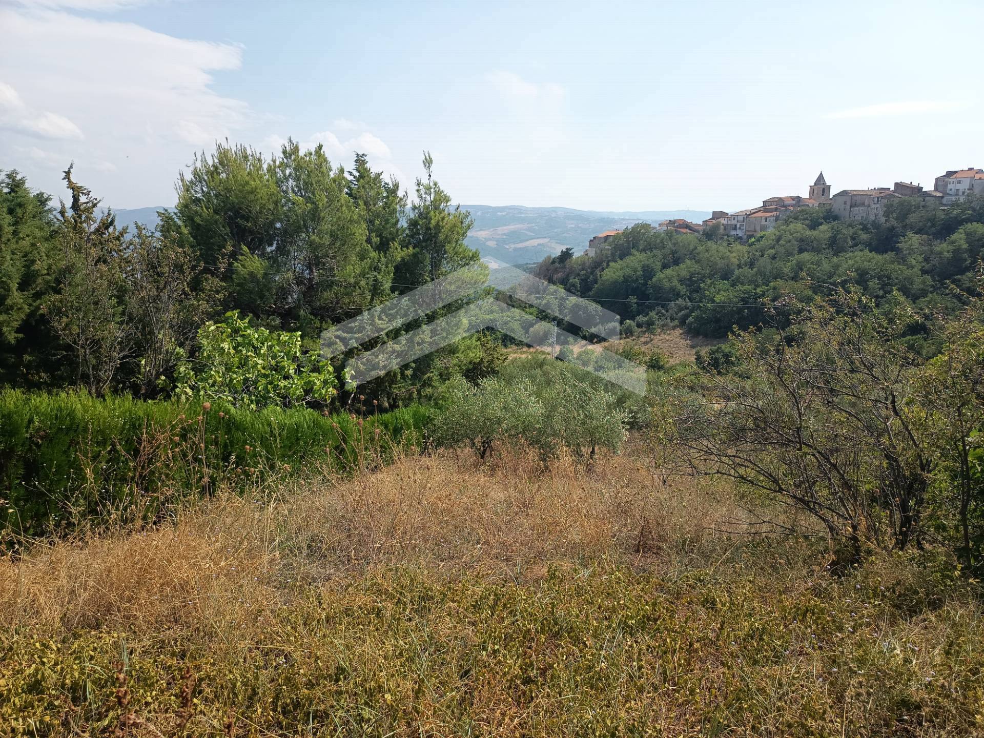Terreno Agricolo in vendita a Castelbottaccio