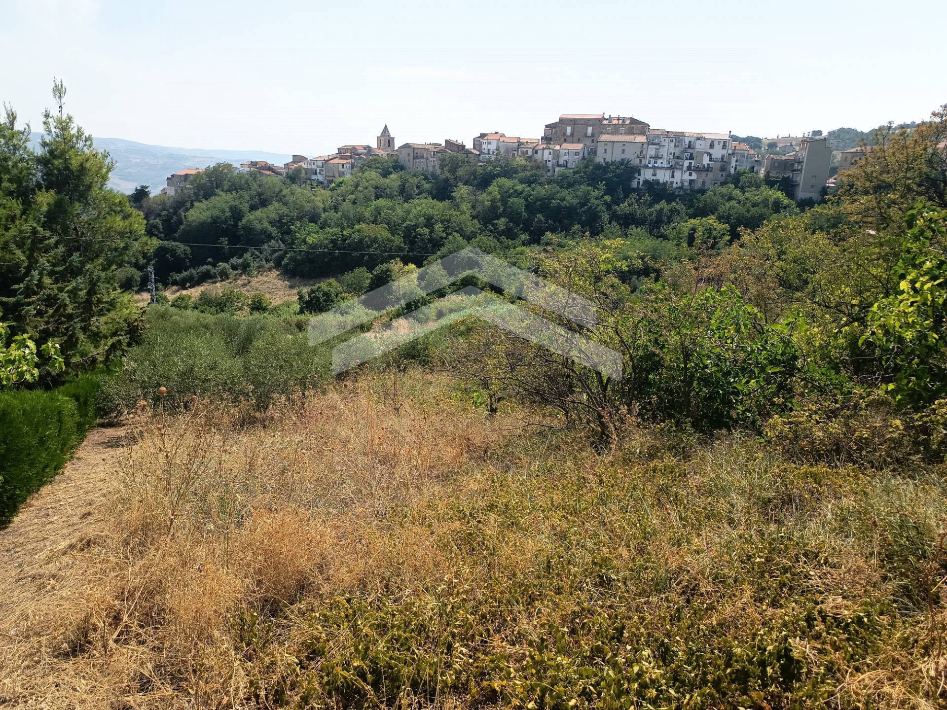 Terreno Agricolo in vendita a Castelbottaccio