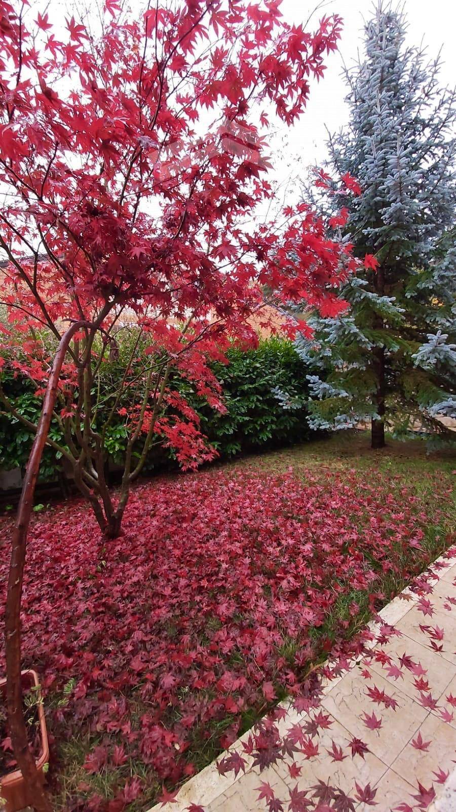 Appartamento in affitto a Vinchiaturo