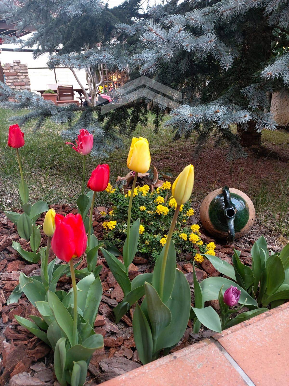 Appartamento in affitto a Vinchiaturo