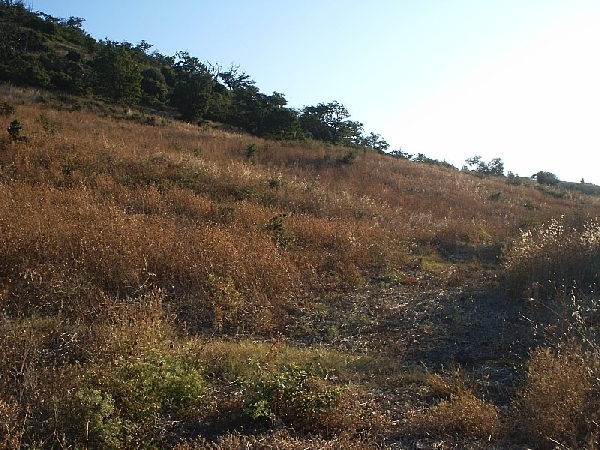 Rustico in vendita a Lupara