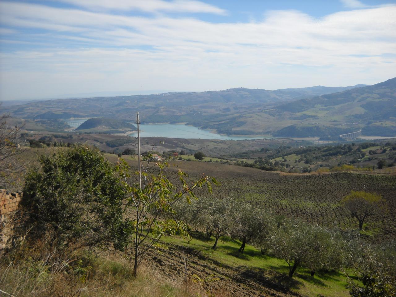 Terreno Agricolo in vendita a Guardialfiera
