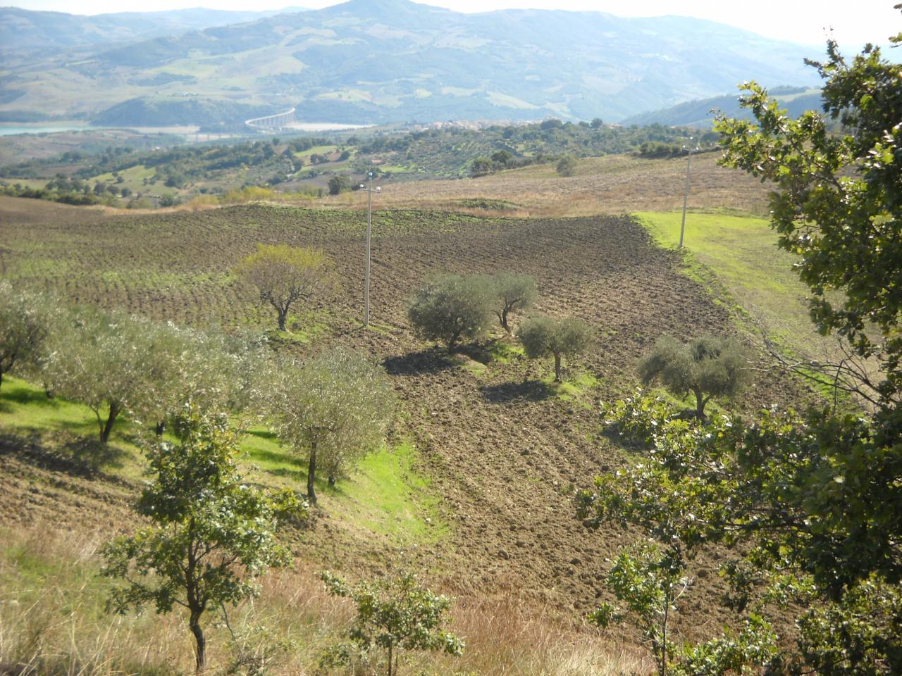 Terreno Agricolo in vendita a Guardialfiera