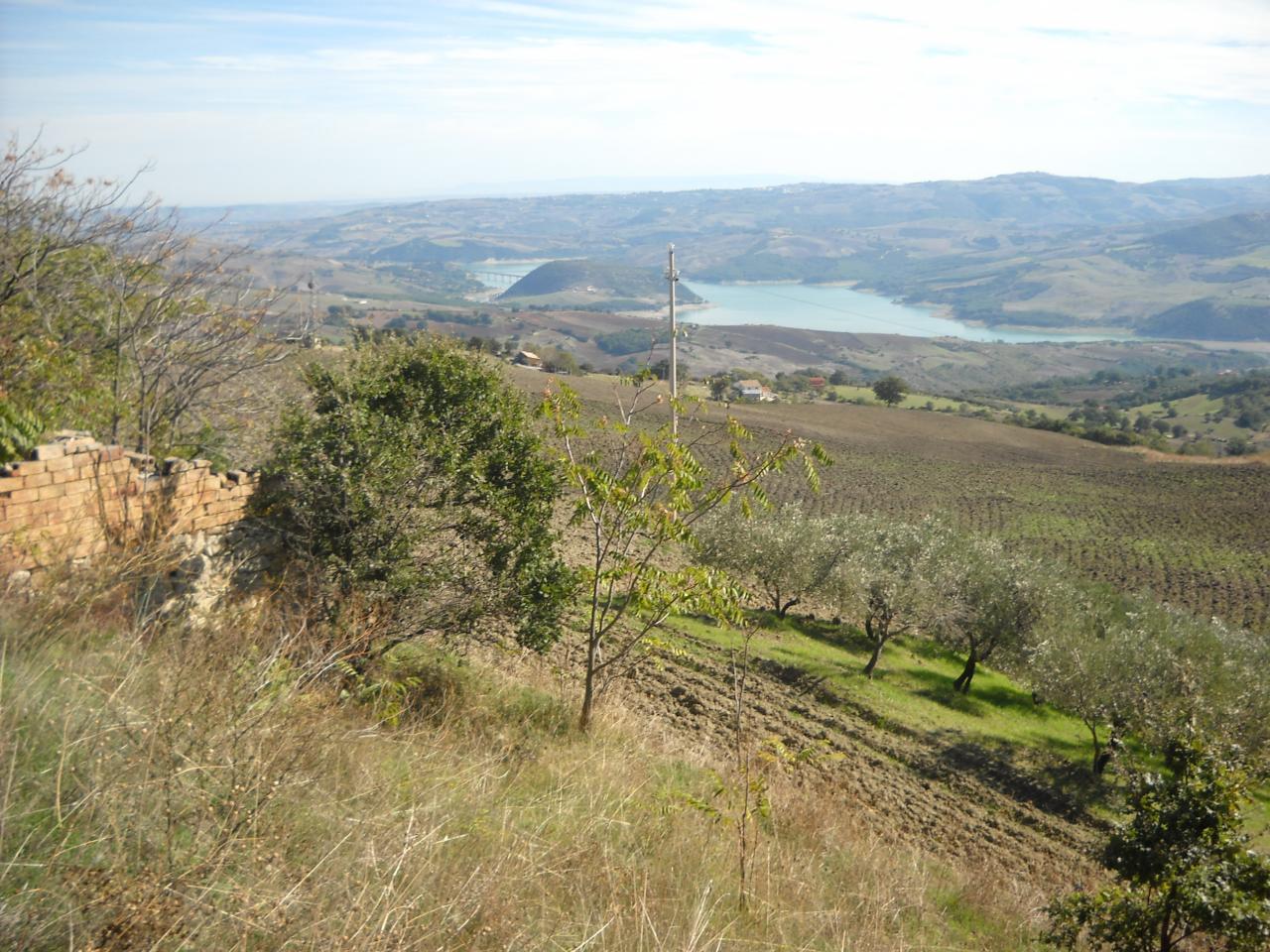 Terreno Agricolo in vendita a Guardialfiera