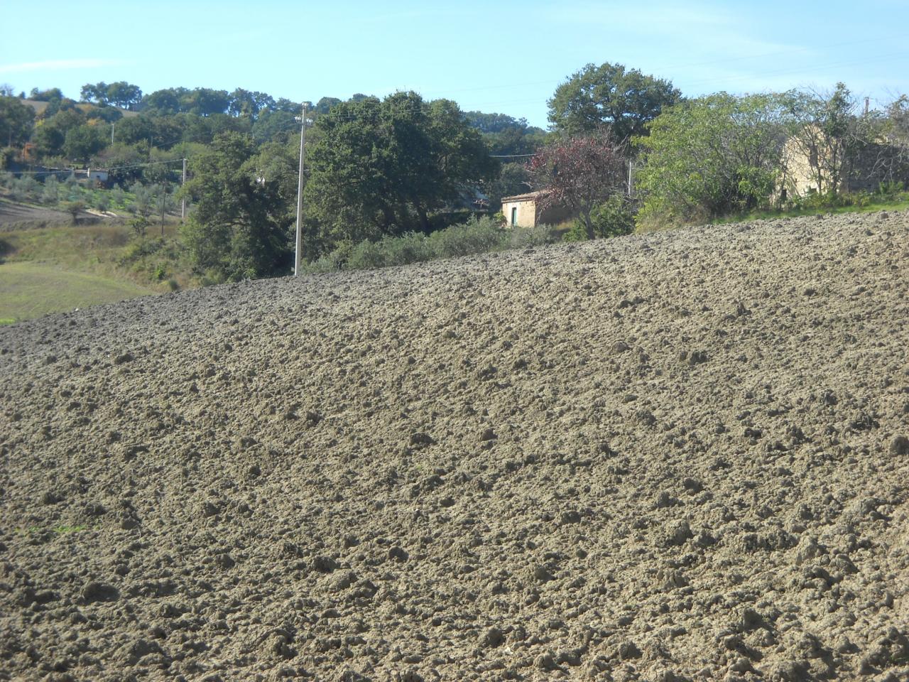 Terreno Agricolo in vendita a Guardialfiera