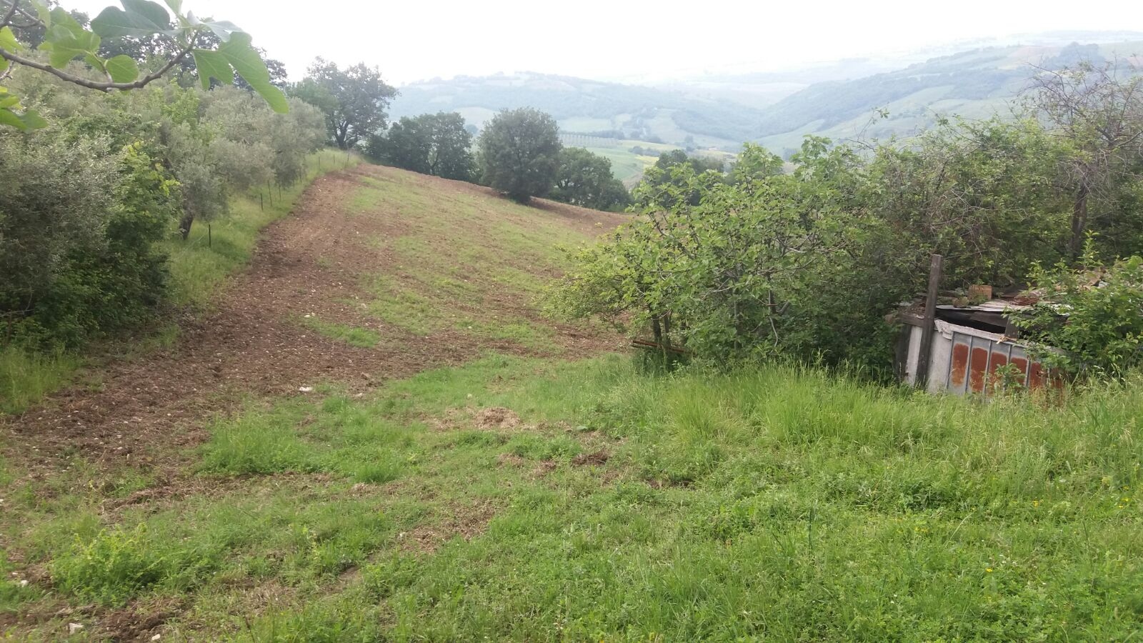 Terreno Agricolo in vendita a Guardialfiera