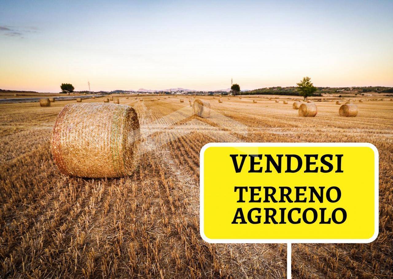 Terreno Agricolo in vendita a Campobasso, Periferia