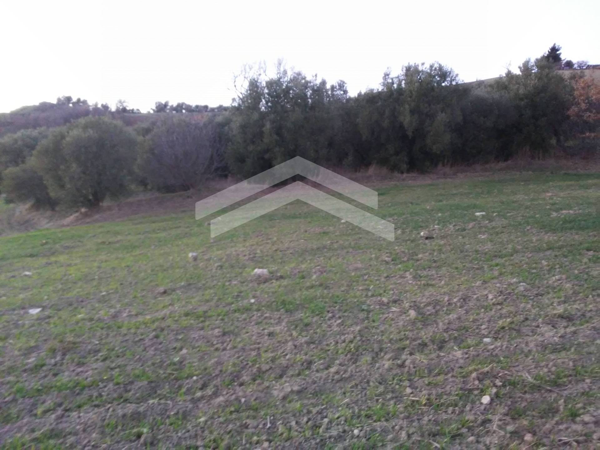 Terreno Agricolo in vendita a Guardialfiera