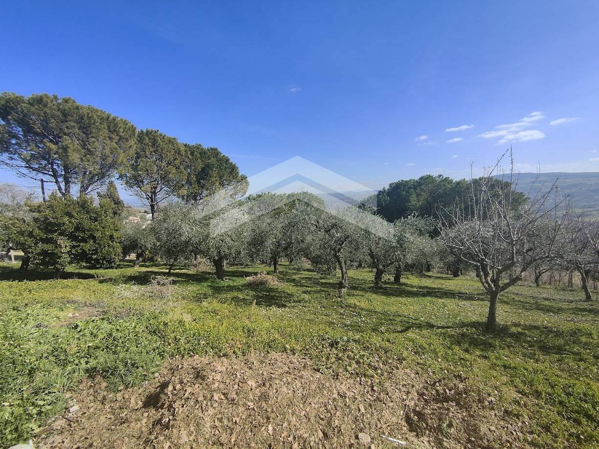 Casa singola in vendita a Ferrazzano