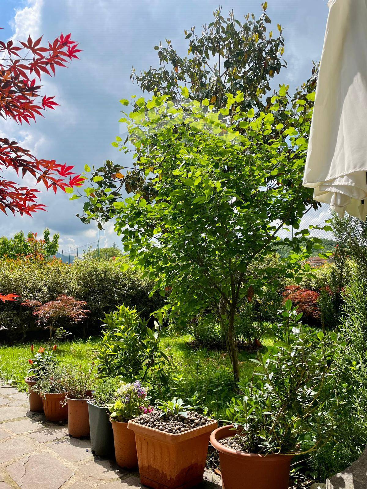 Appartamento in vendita a San Massimo