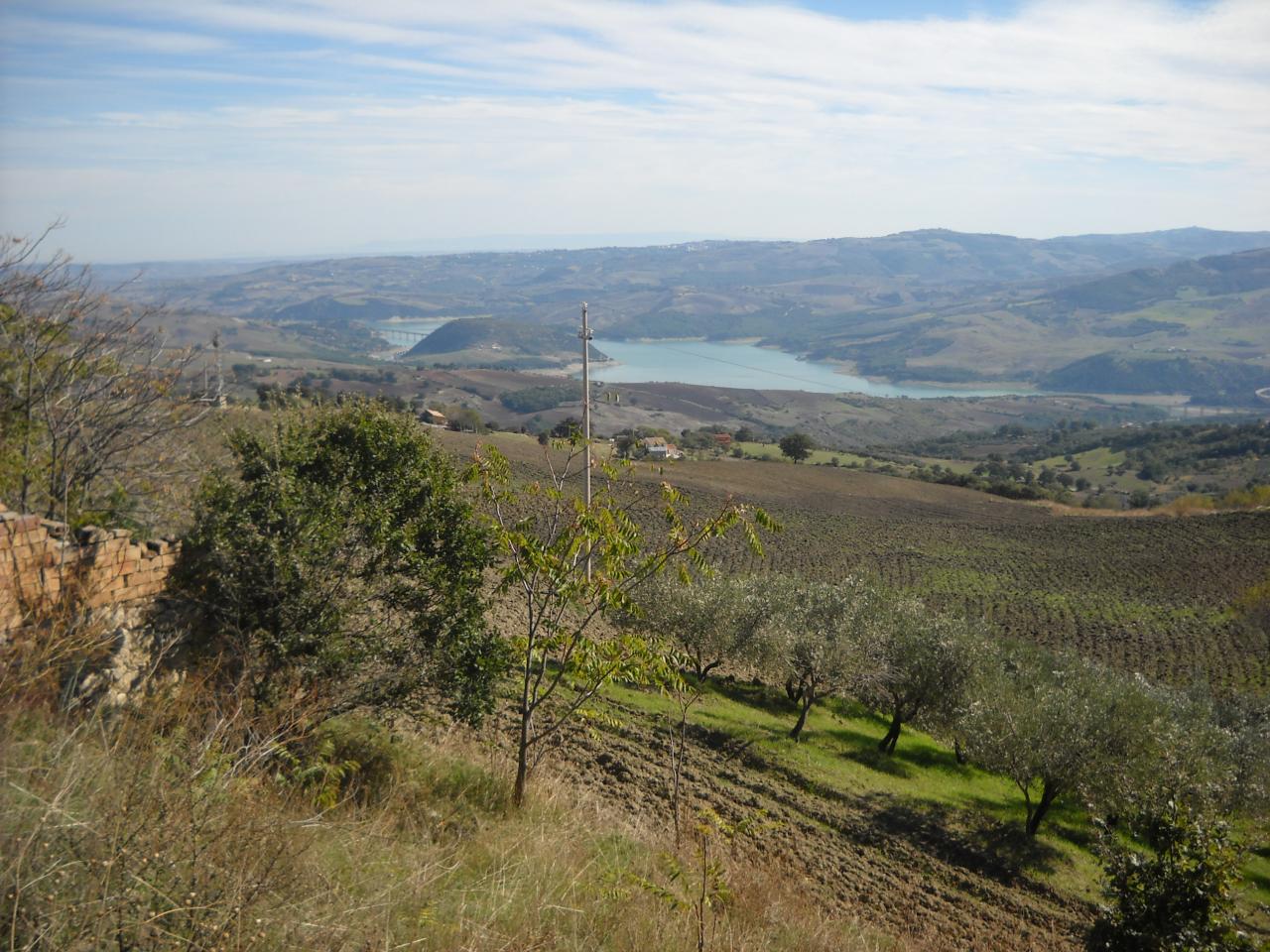 Terreno Agricolo in vendita a Guardialfiera