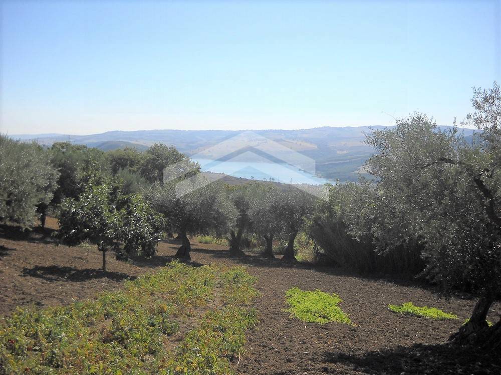 Terreno edificabile in vendita a Guardialfiera