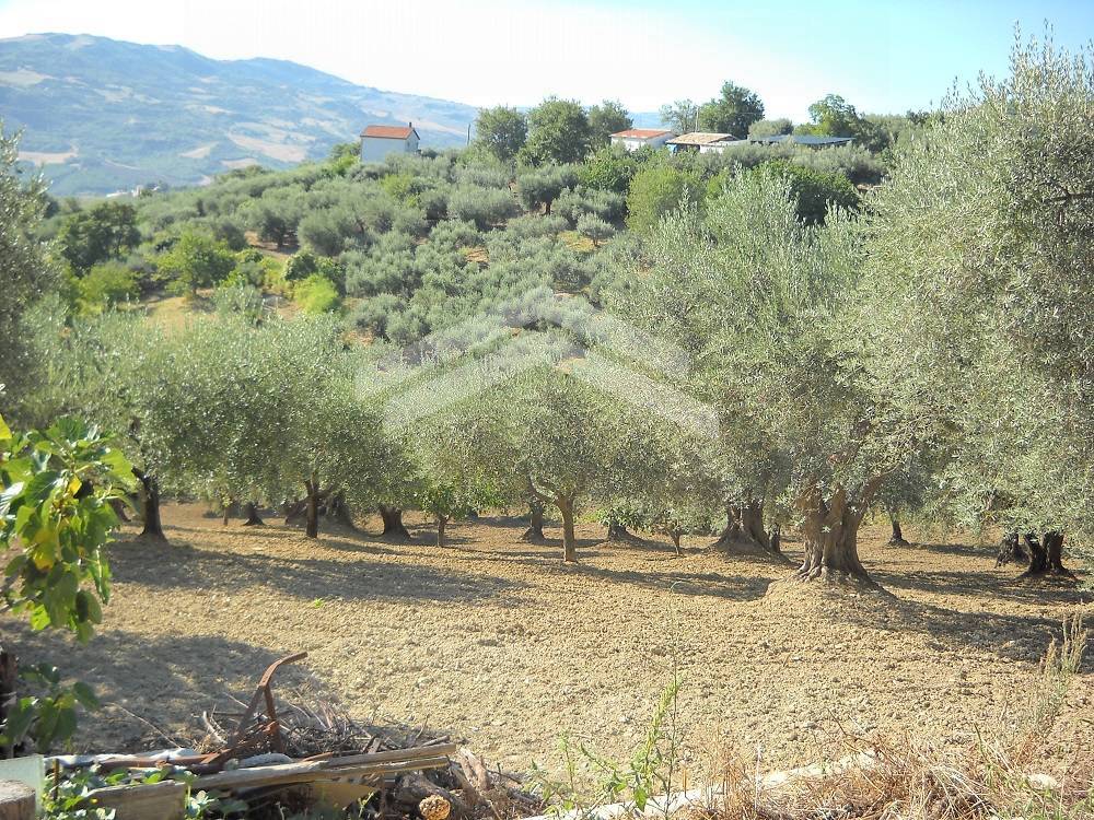 Terreno edificabile in vendita a Guardialfiera