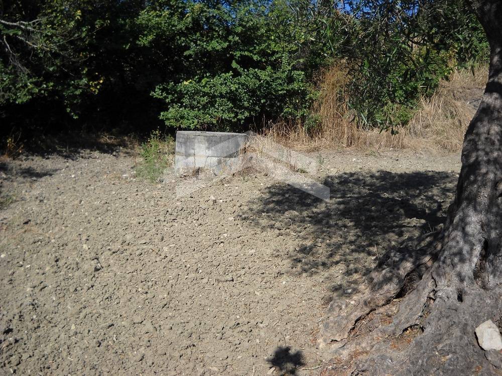 Terreno edificabile in vendita a Guardialfiera