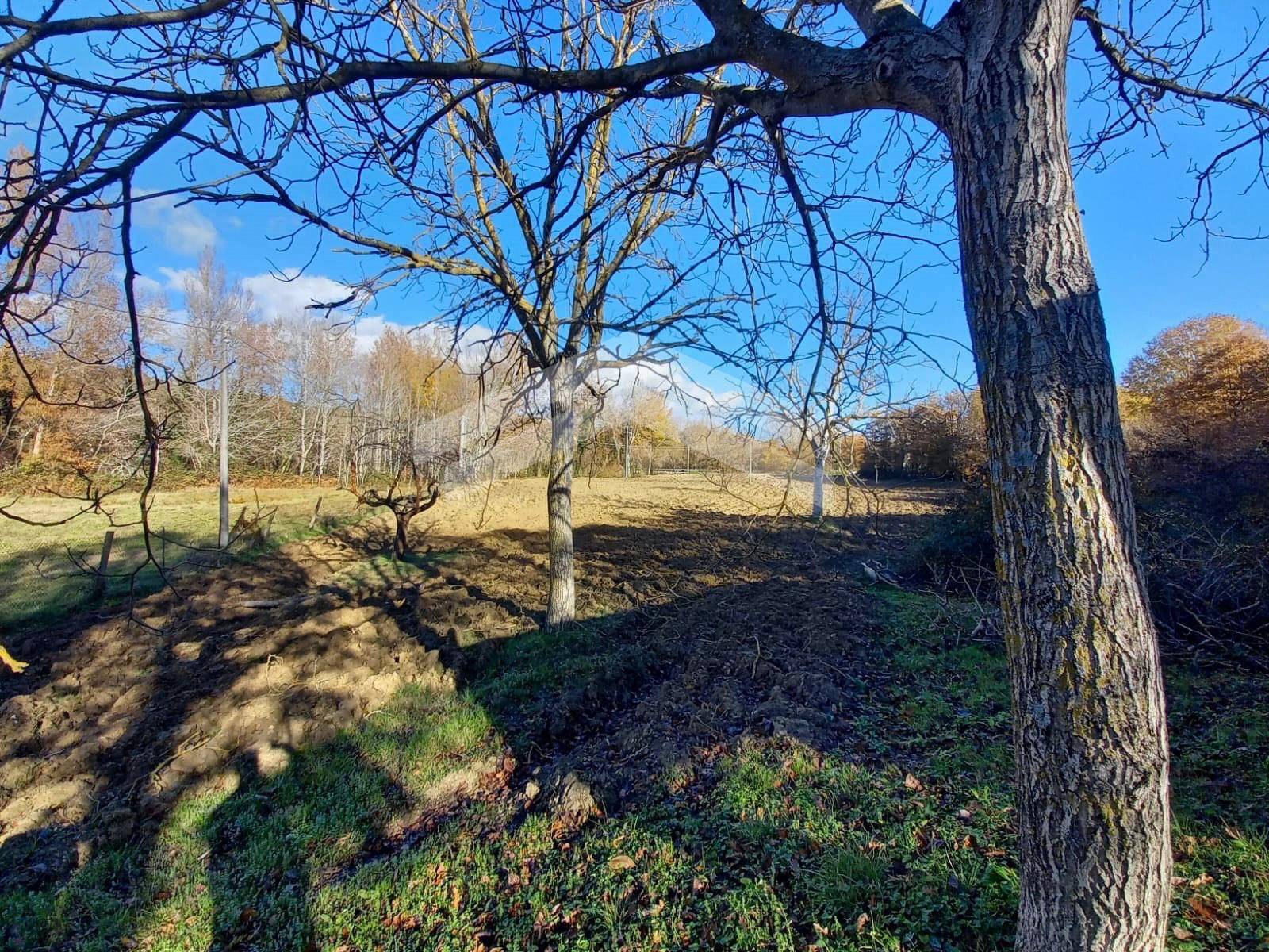 Casa indipendente in vendita a Mirabello Sannitico