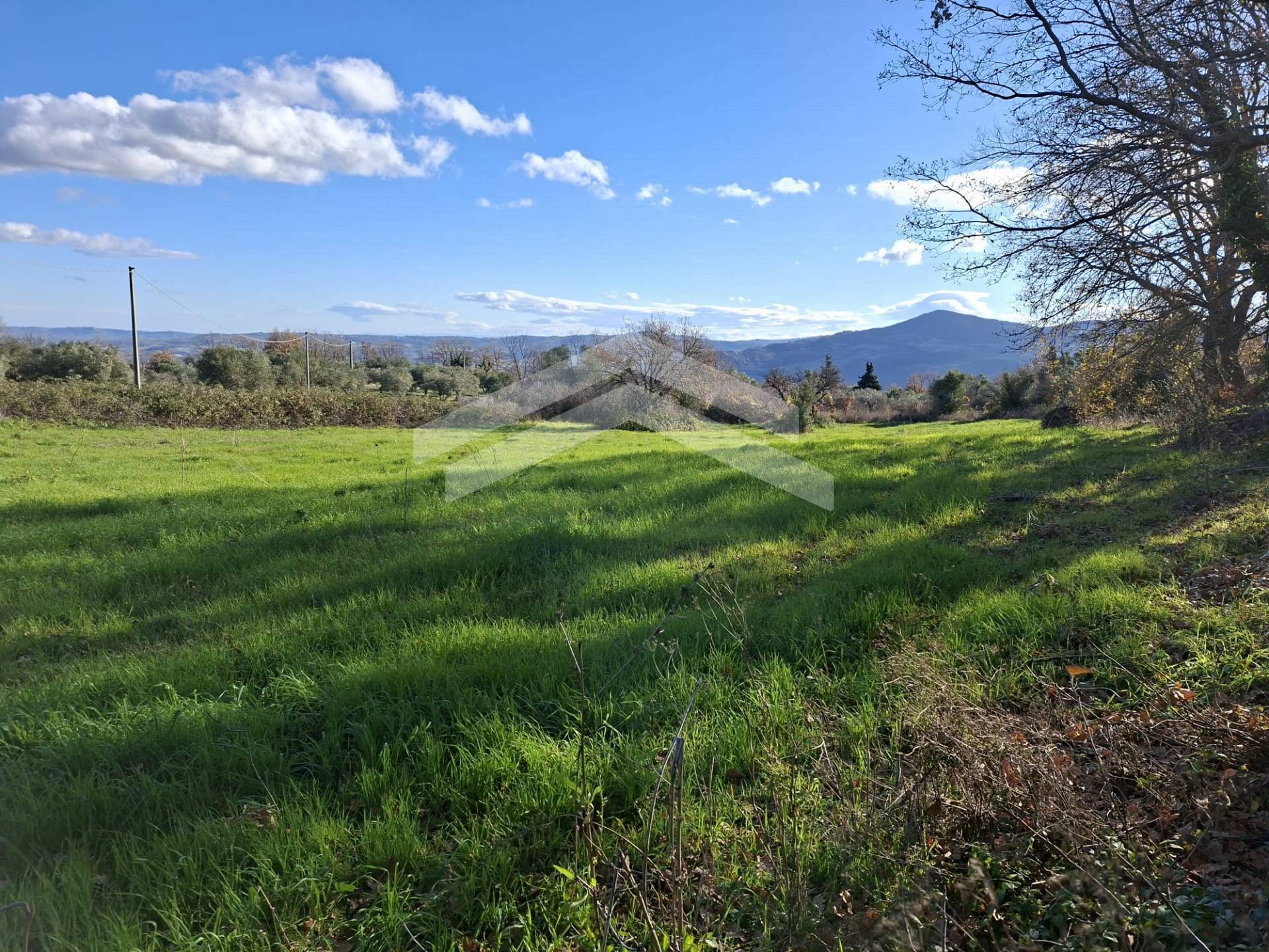 Terreno Agricolo in vendita a Guardialfiera