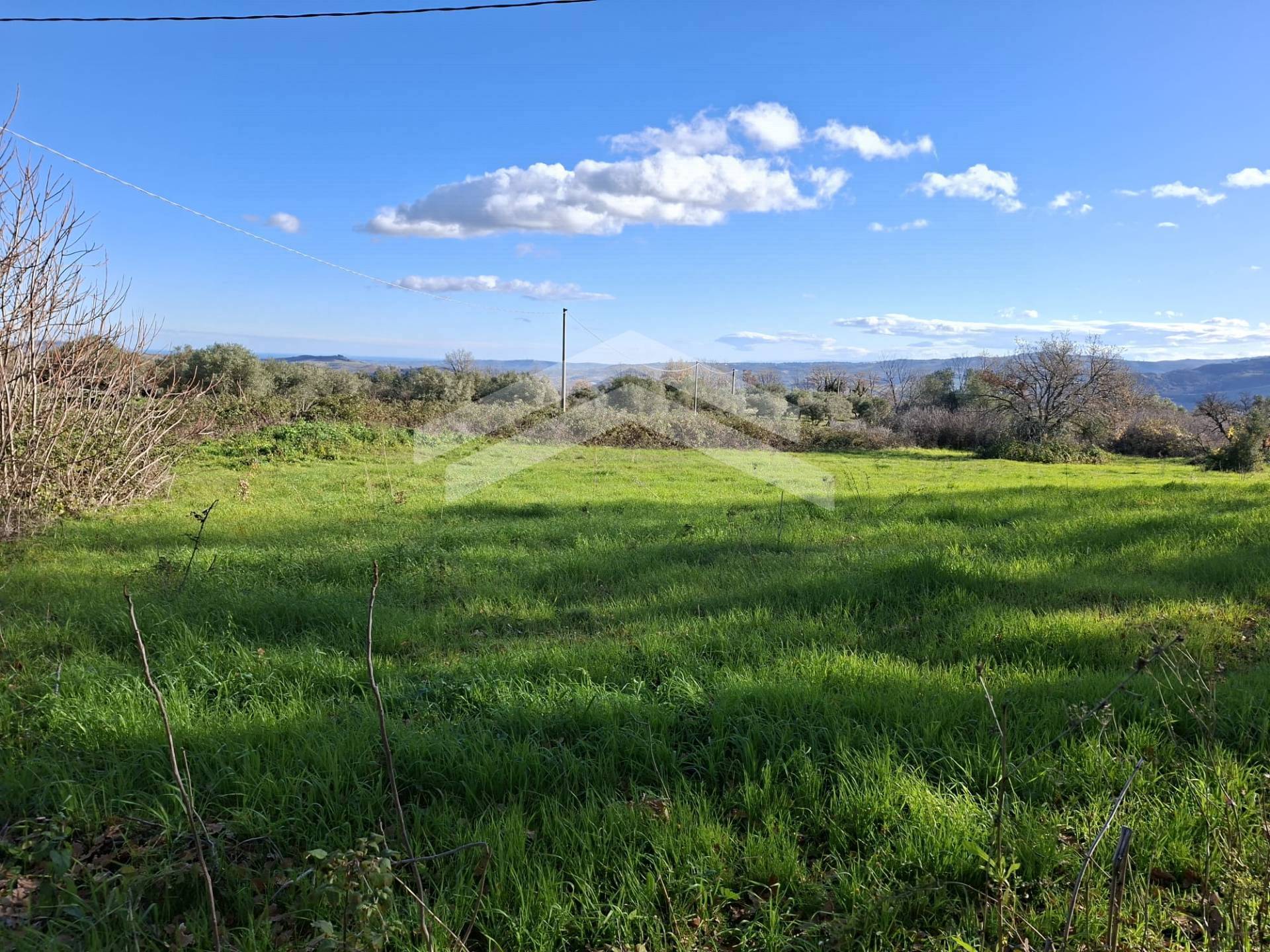 Terreno Agricolo in vendita a Guardialfiera