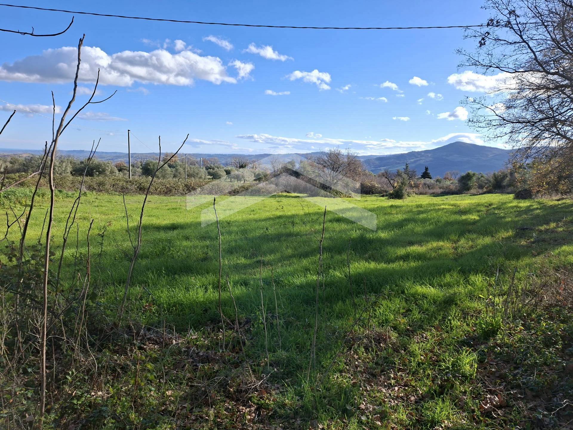 Terreno Agricolo in vendita a Guardialfiera