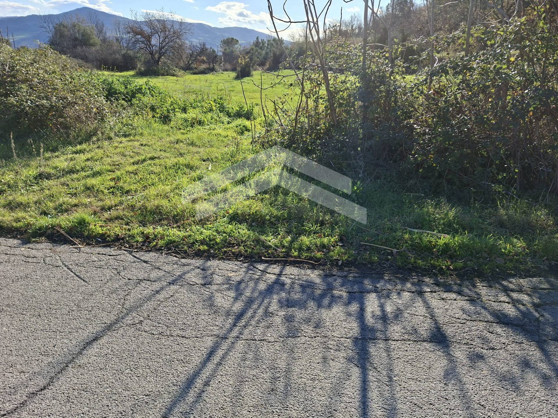 Terreno Agricolo in vendita a Guardialfiera