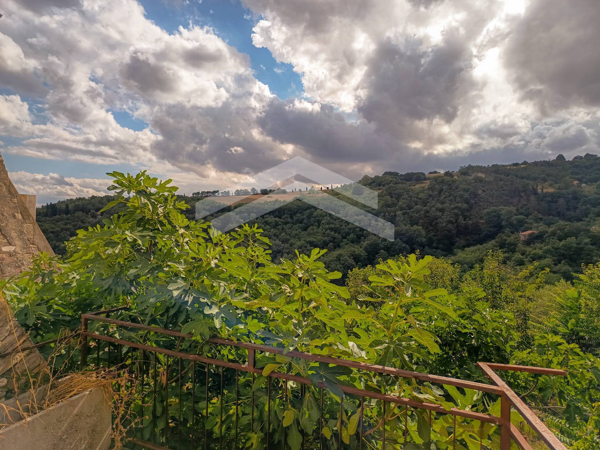 Cielo Terra in vendita a Castelbottaccio