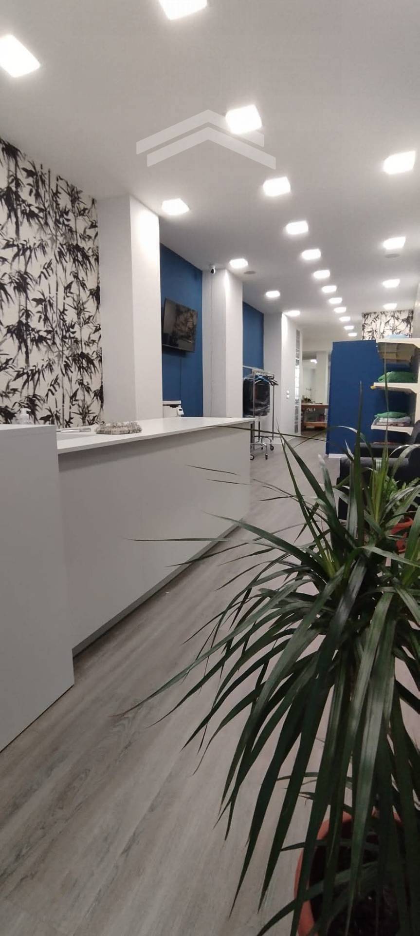 Locale commerciale in affitto a Campobasso, Centro