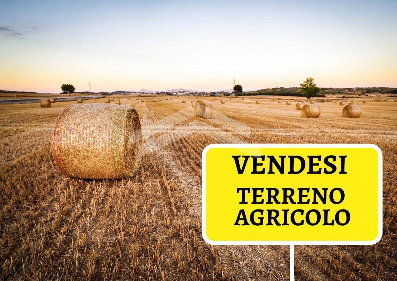 Terreno Agricolo in vendita a Pietracatella