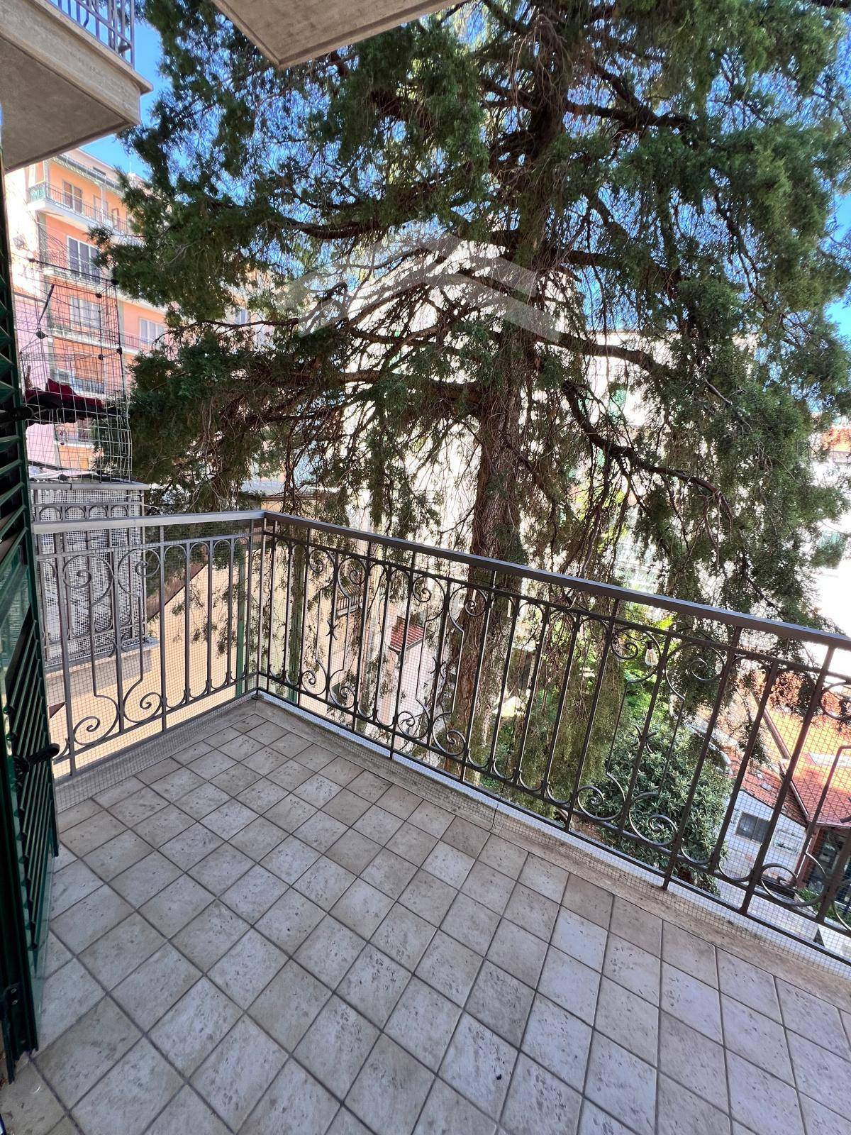 Appartamento in affitto a Campobasso, Centro