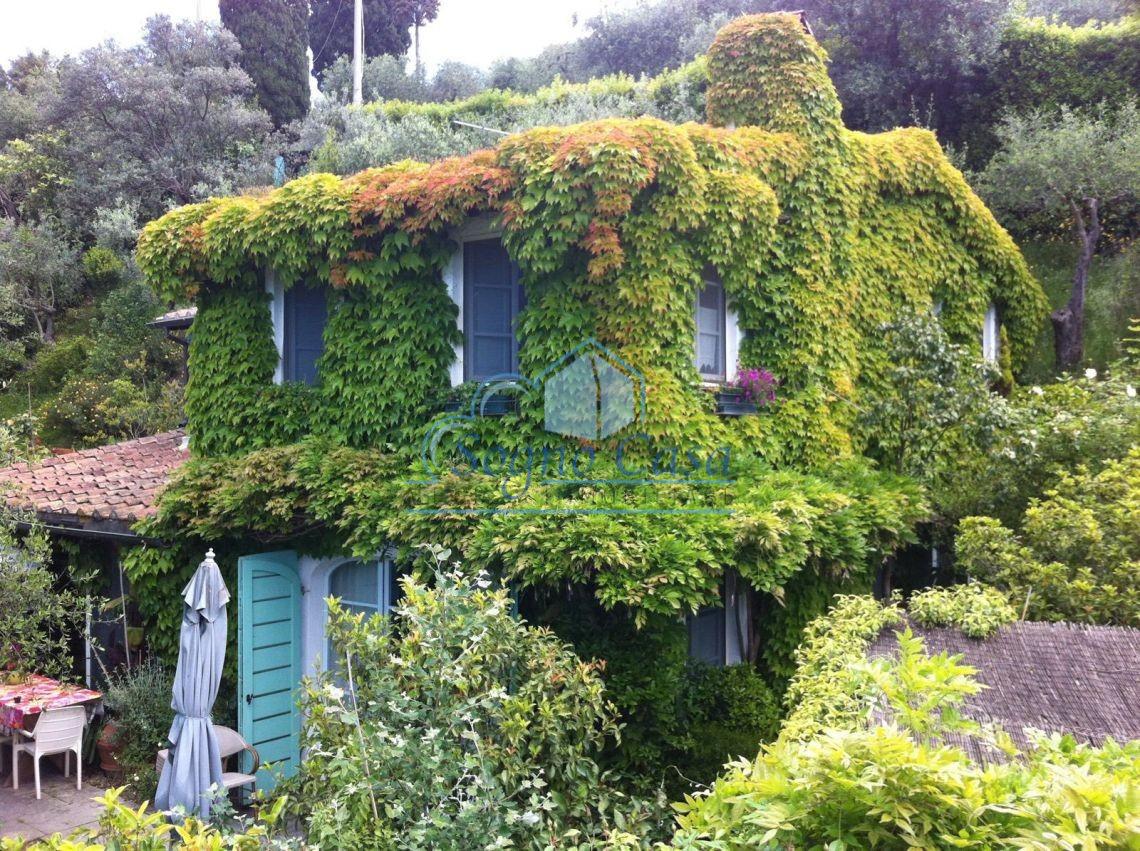 Rustico con giardino a Pietrasanta
