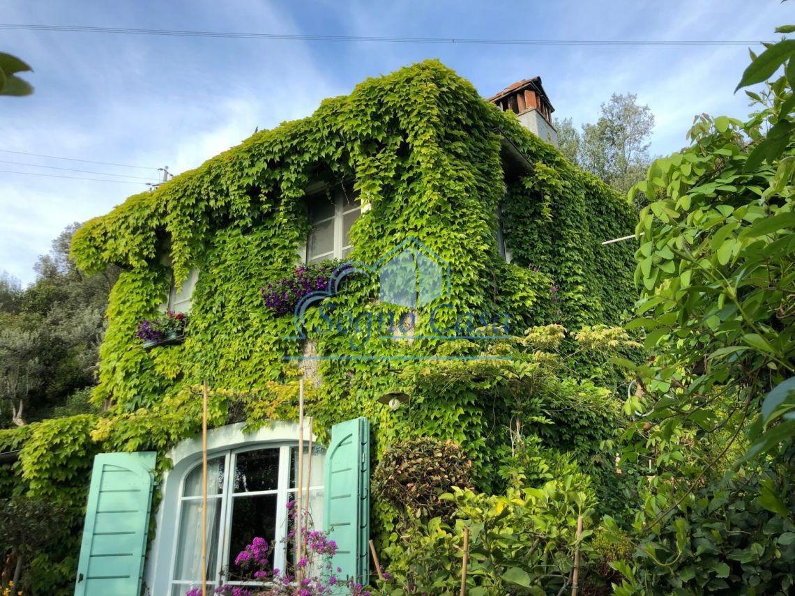 Rustico con giardino a Pietrasanta