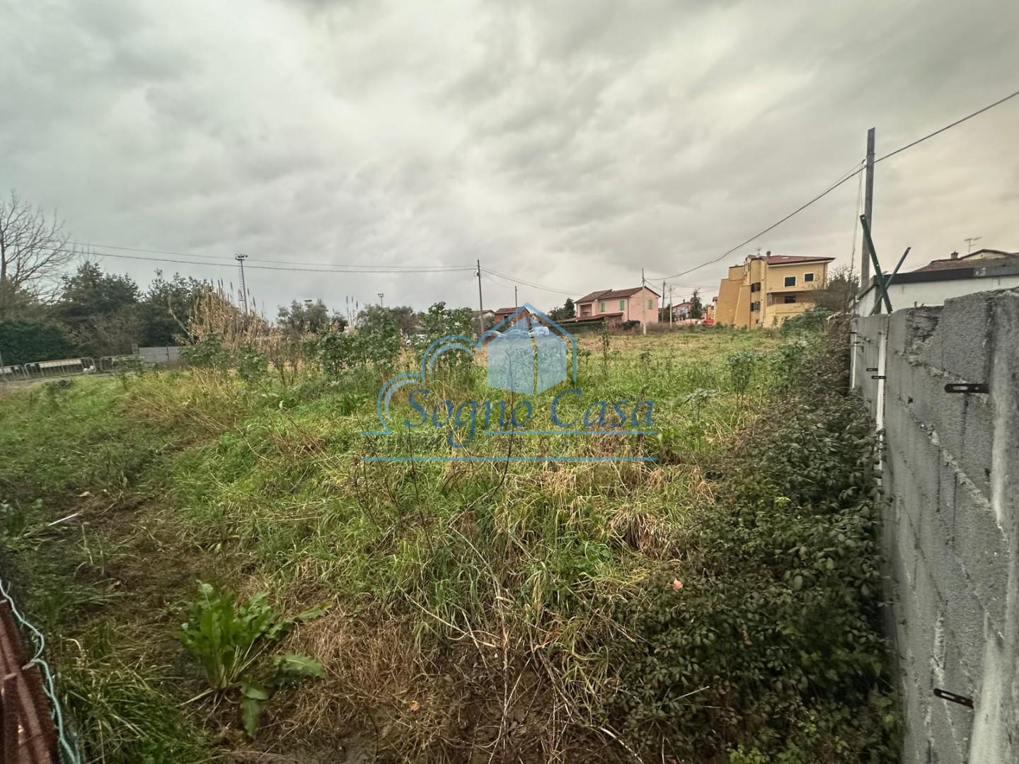 immagine annuncio 1 di 6