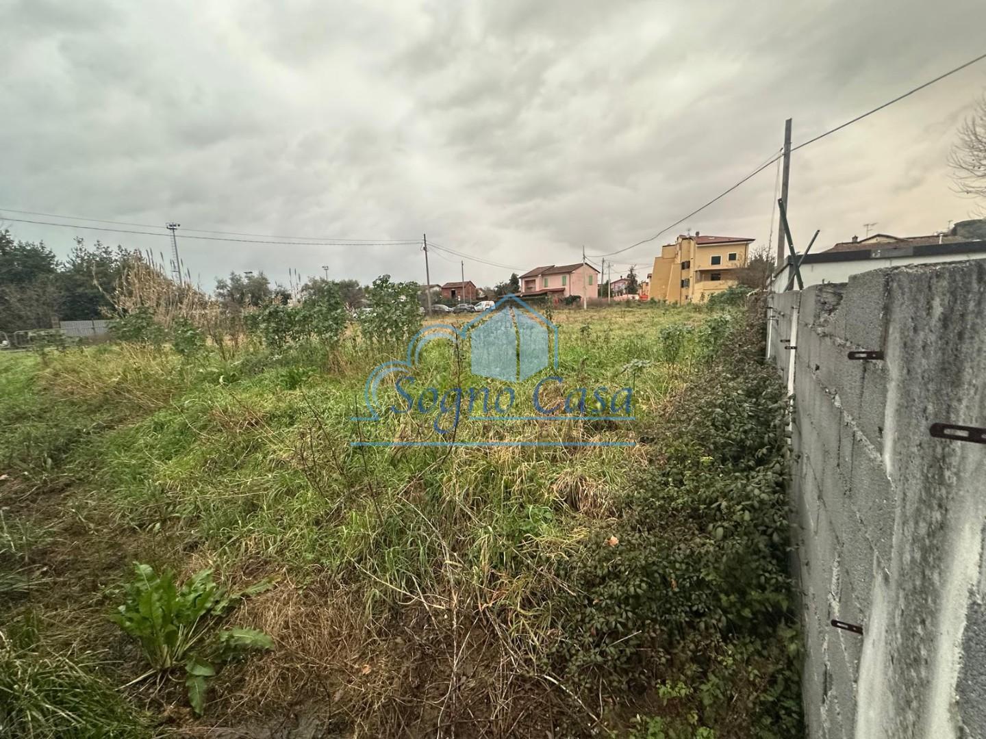 immagine annuncio 2 di 6