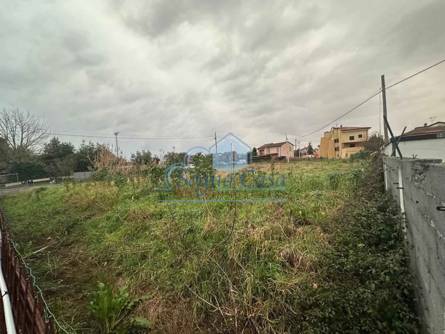 immagine annuncio 3 di 6