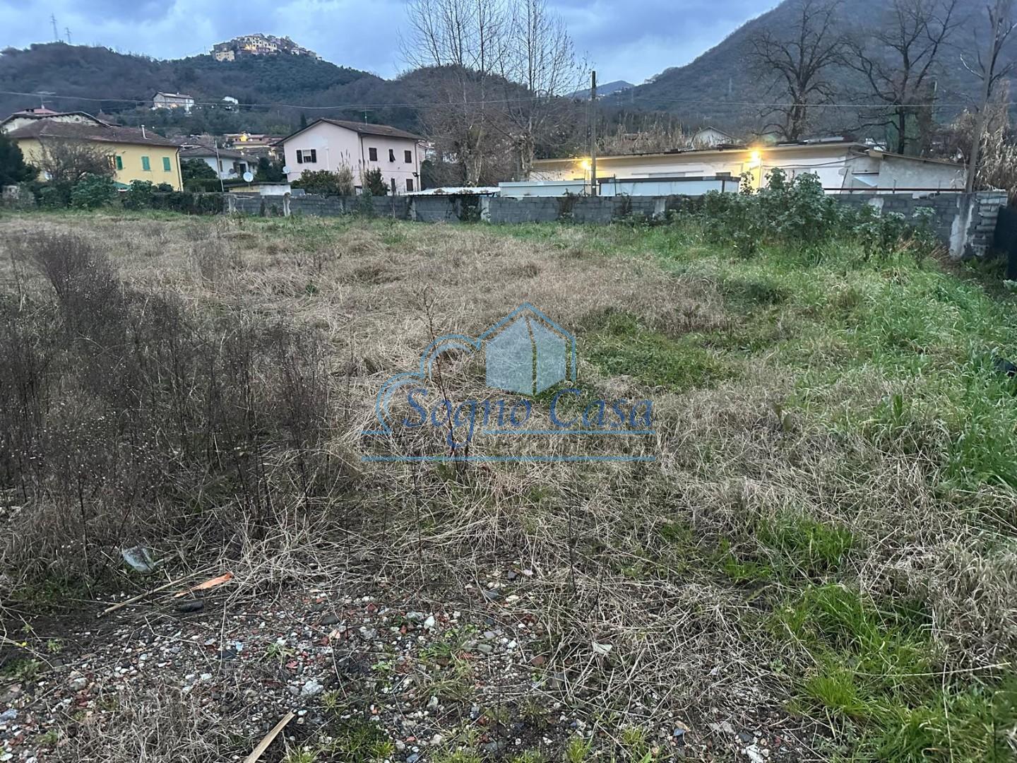 immagine annuncio 4 di 6