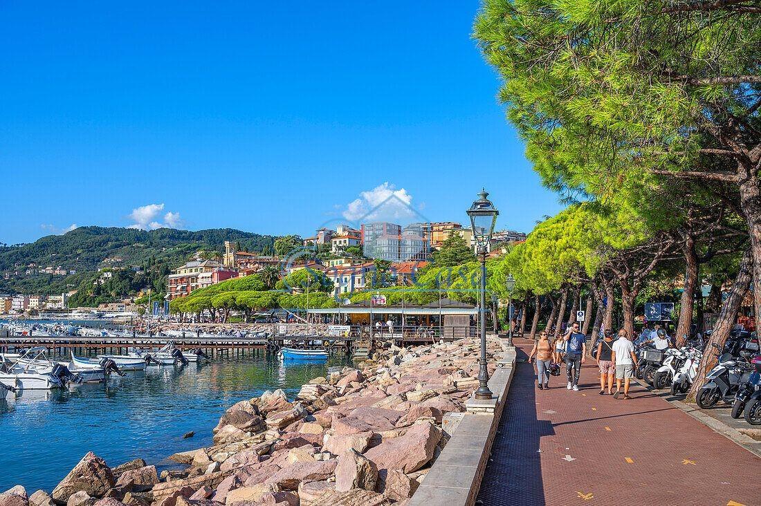 Quadrilocale con giardino a Lerici