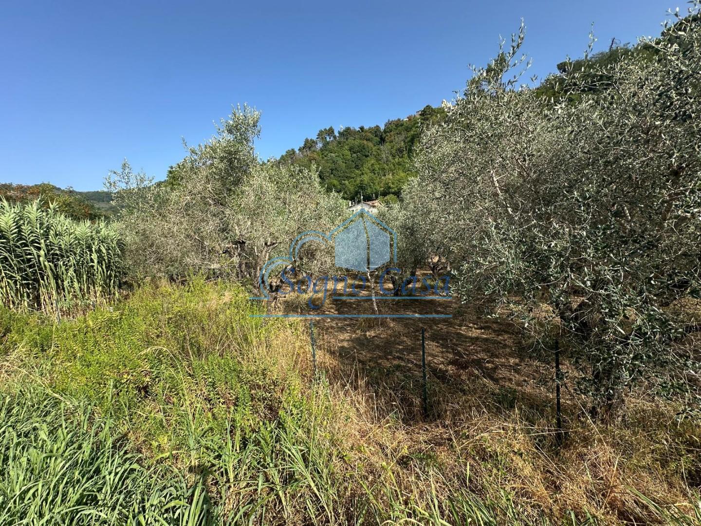 Terreno Edificabile in vendita, Ortonovo isola