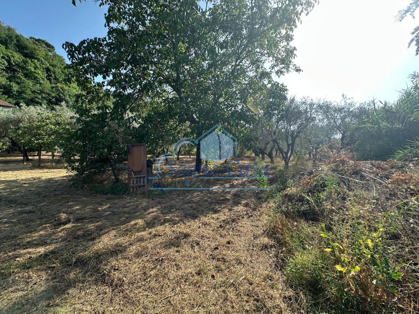 Terreno Edificabile in vendita, Ortonovo isola