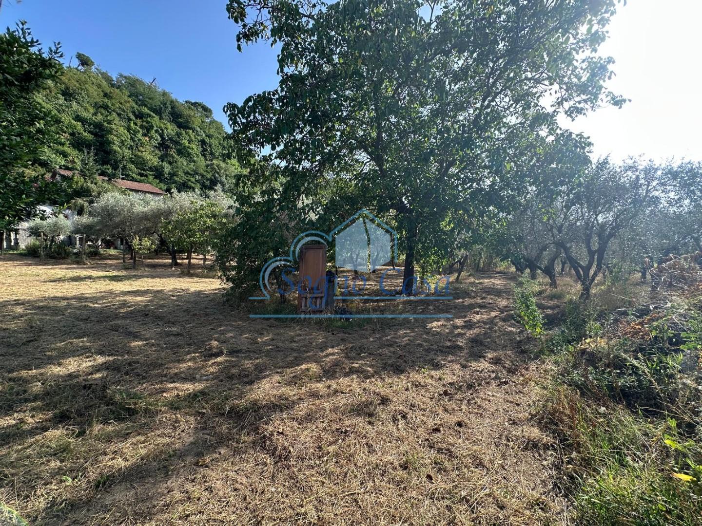 Terreno Edificabile in vendita, Ortonovo isola