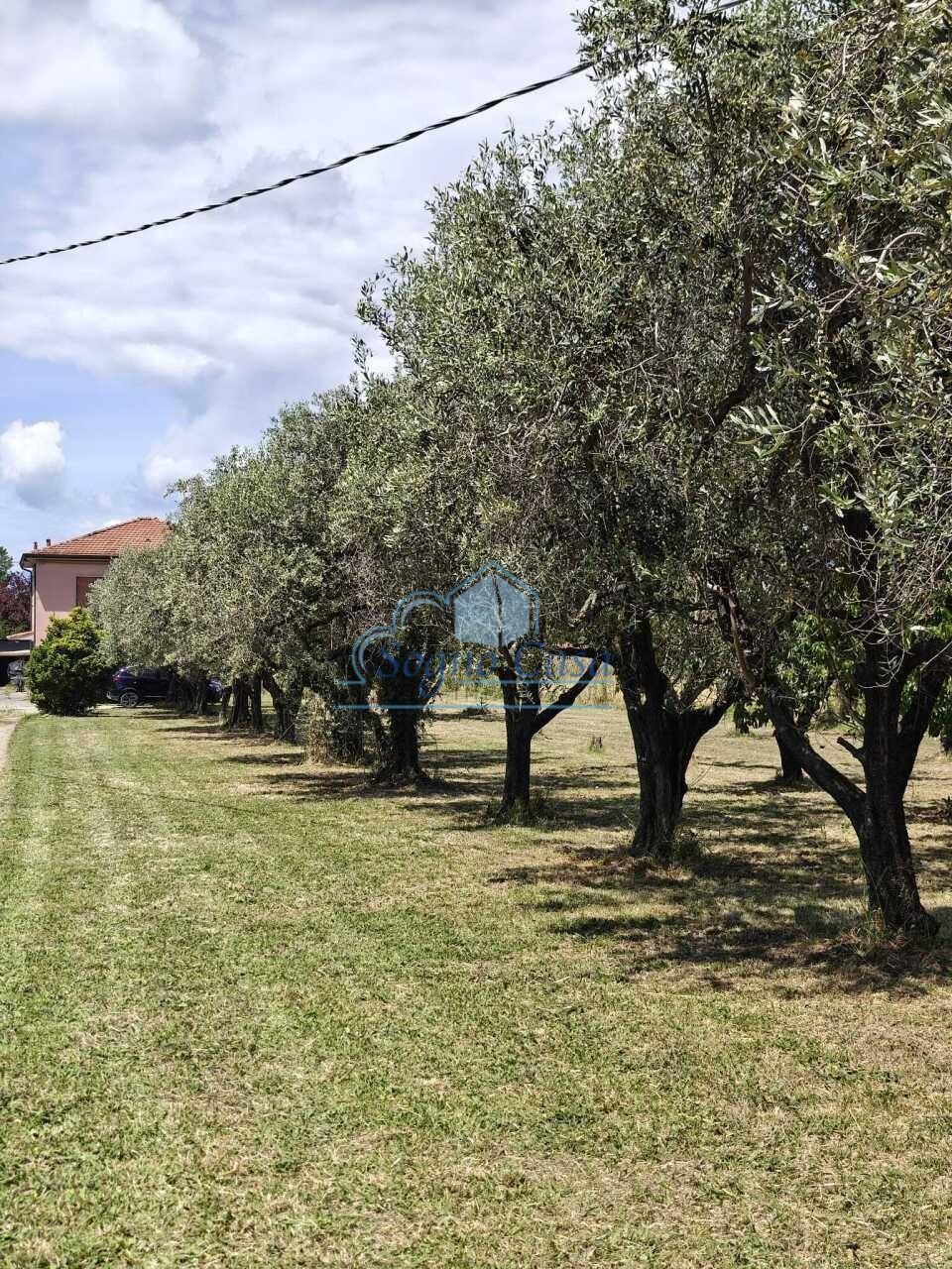 Villa con giardino, Sarzana san lazzaro