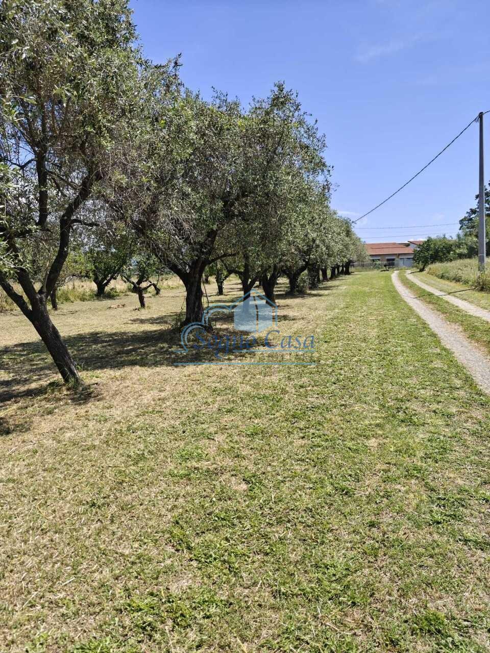 Villa con giardino, Sarzana san lazzaro
