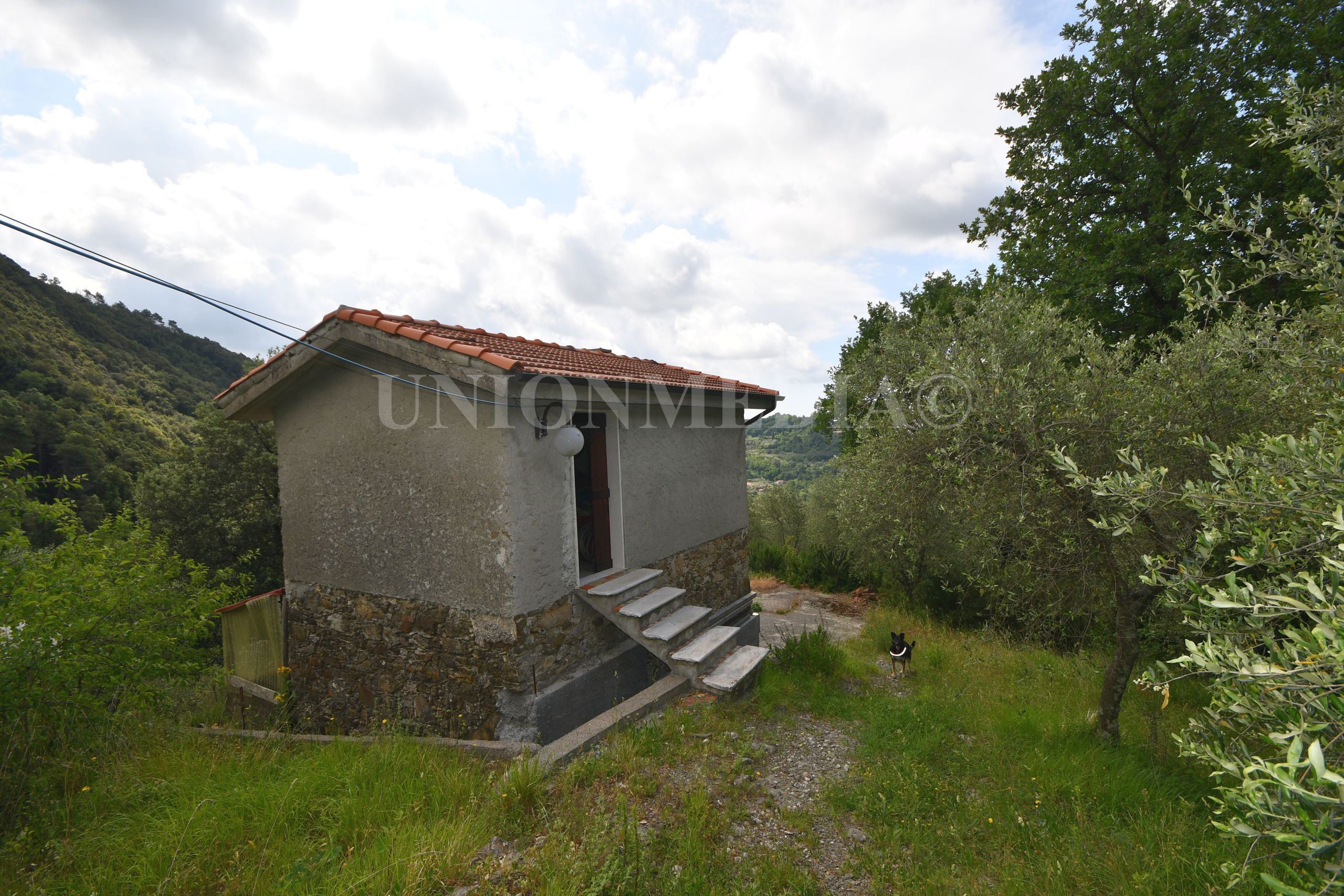 Rustico da ristrutturare in via carignano, Fosdinovo