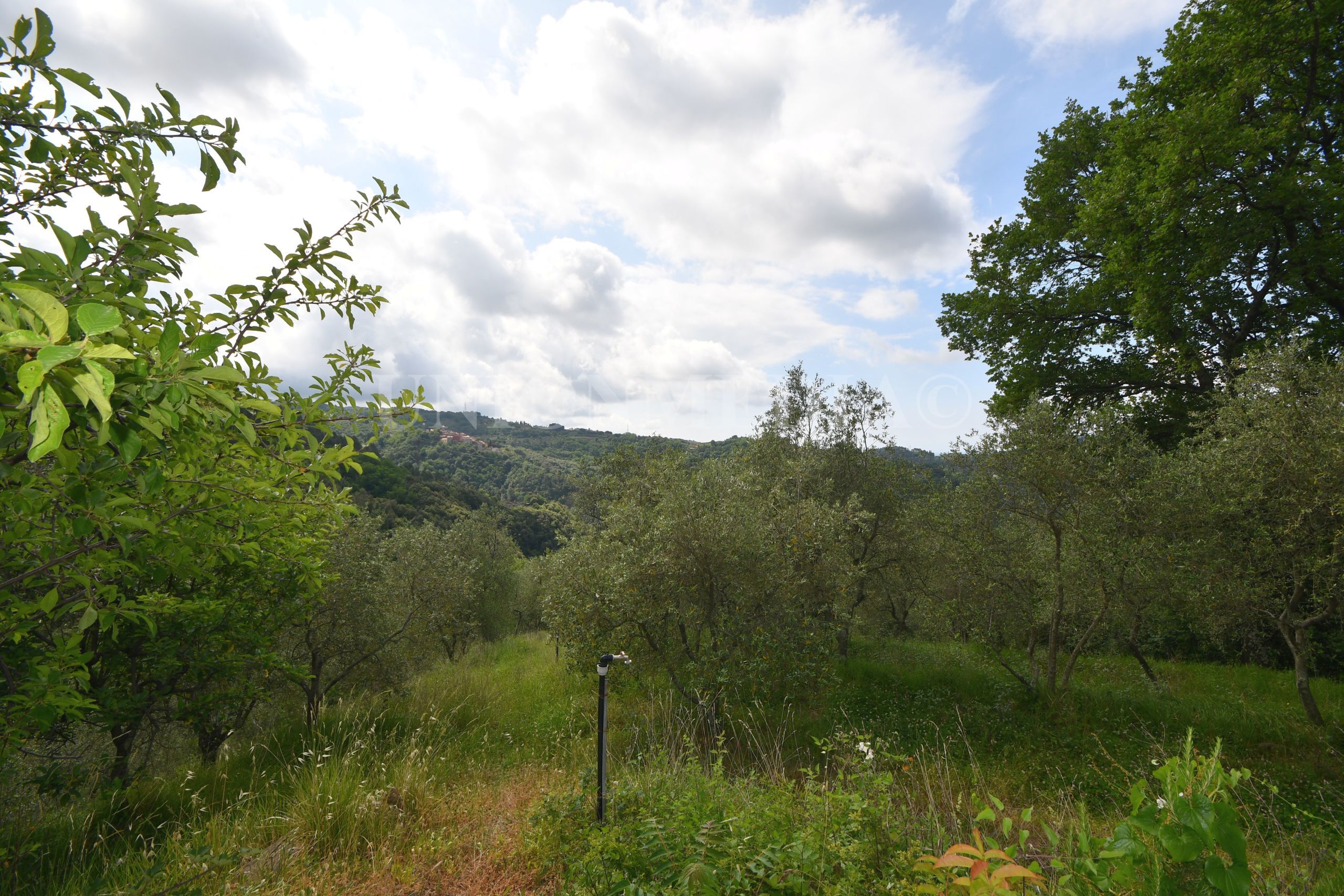 Rustico da ristrutturare in via carignano, Fosdinovo