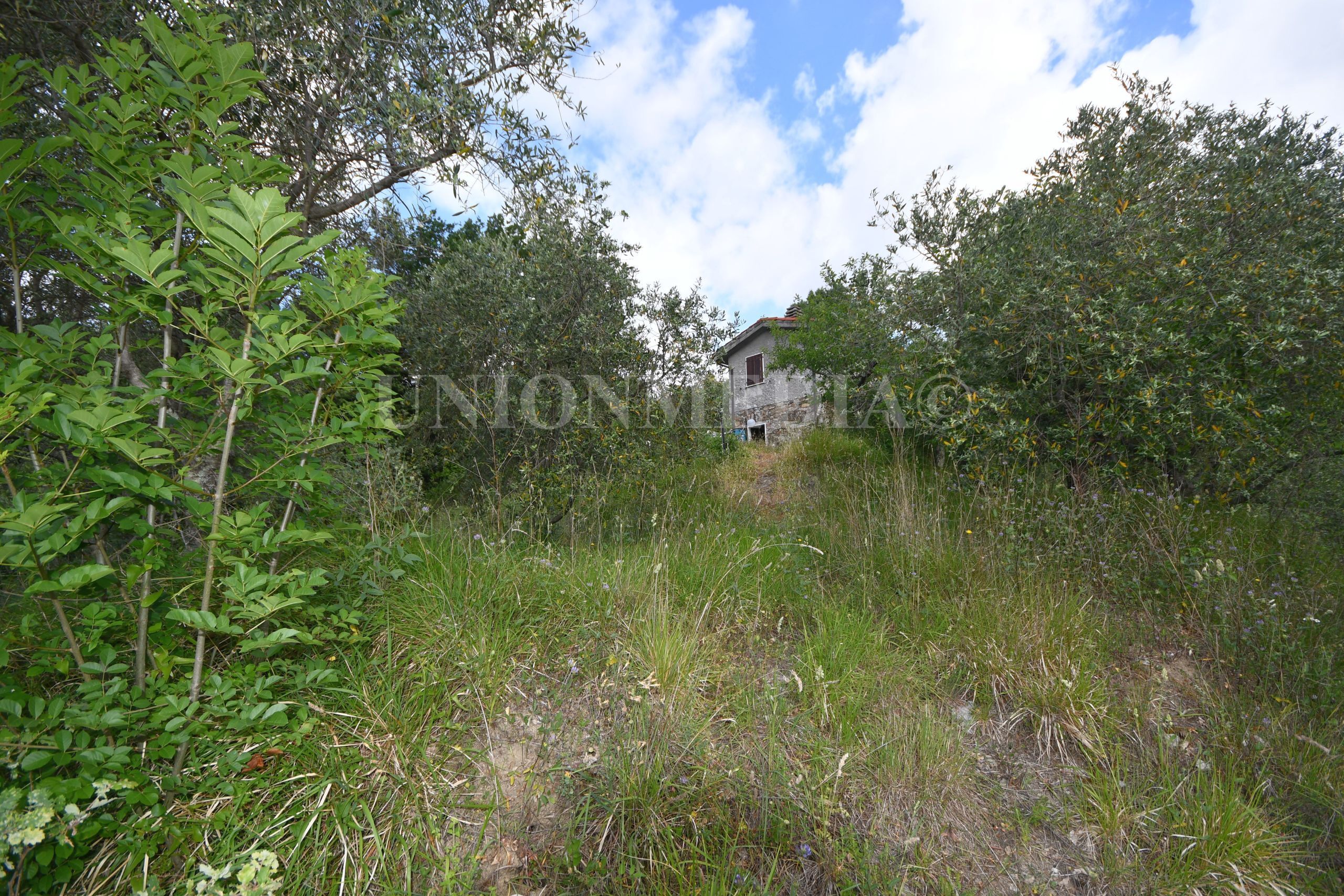 Rustico da ristrutturare in via carignano, Fosdinovo