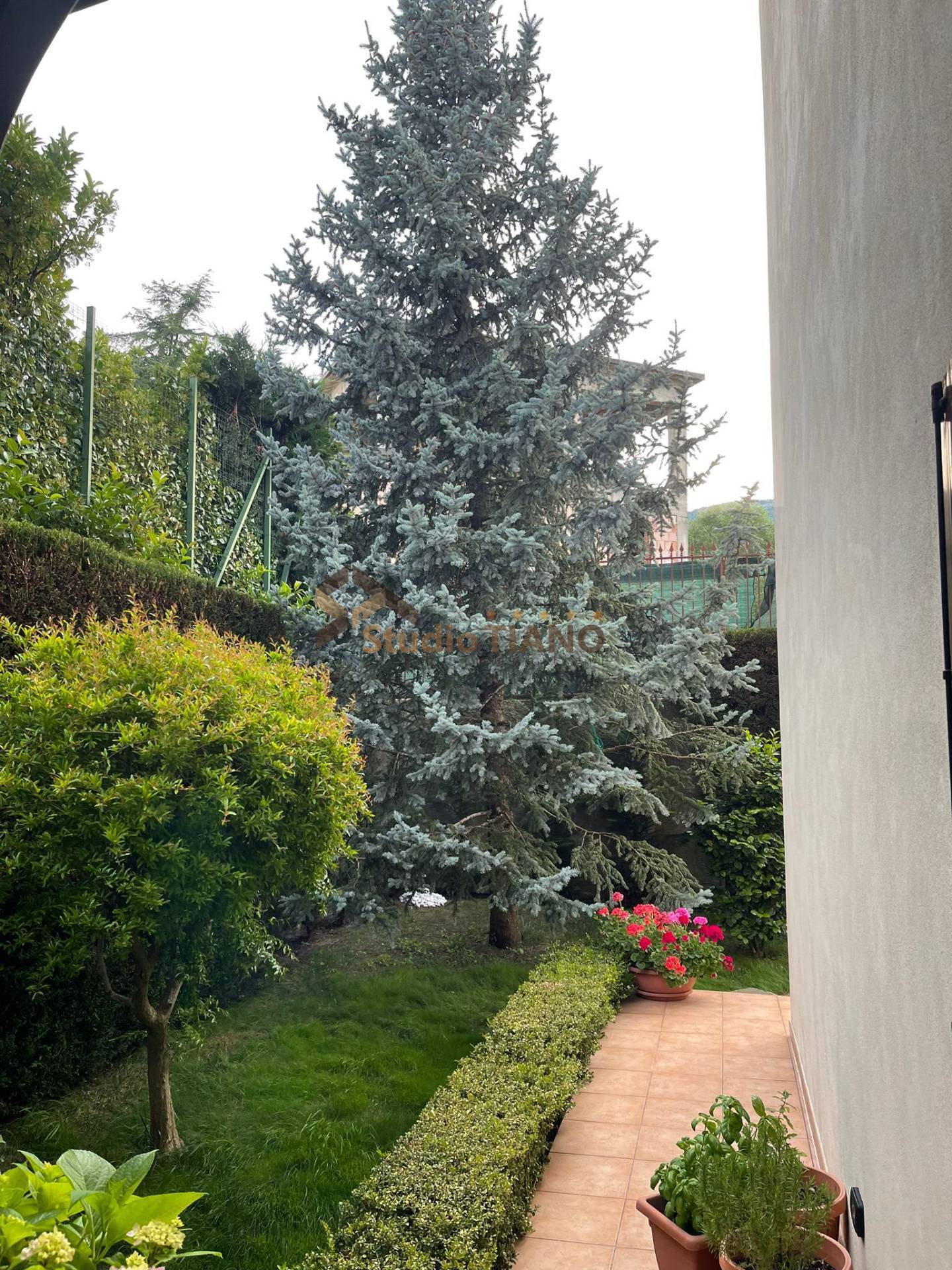 Appartamento in affitto a Marano Principato