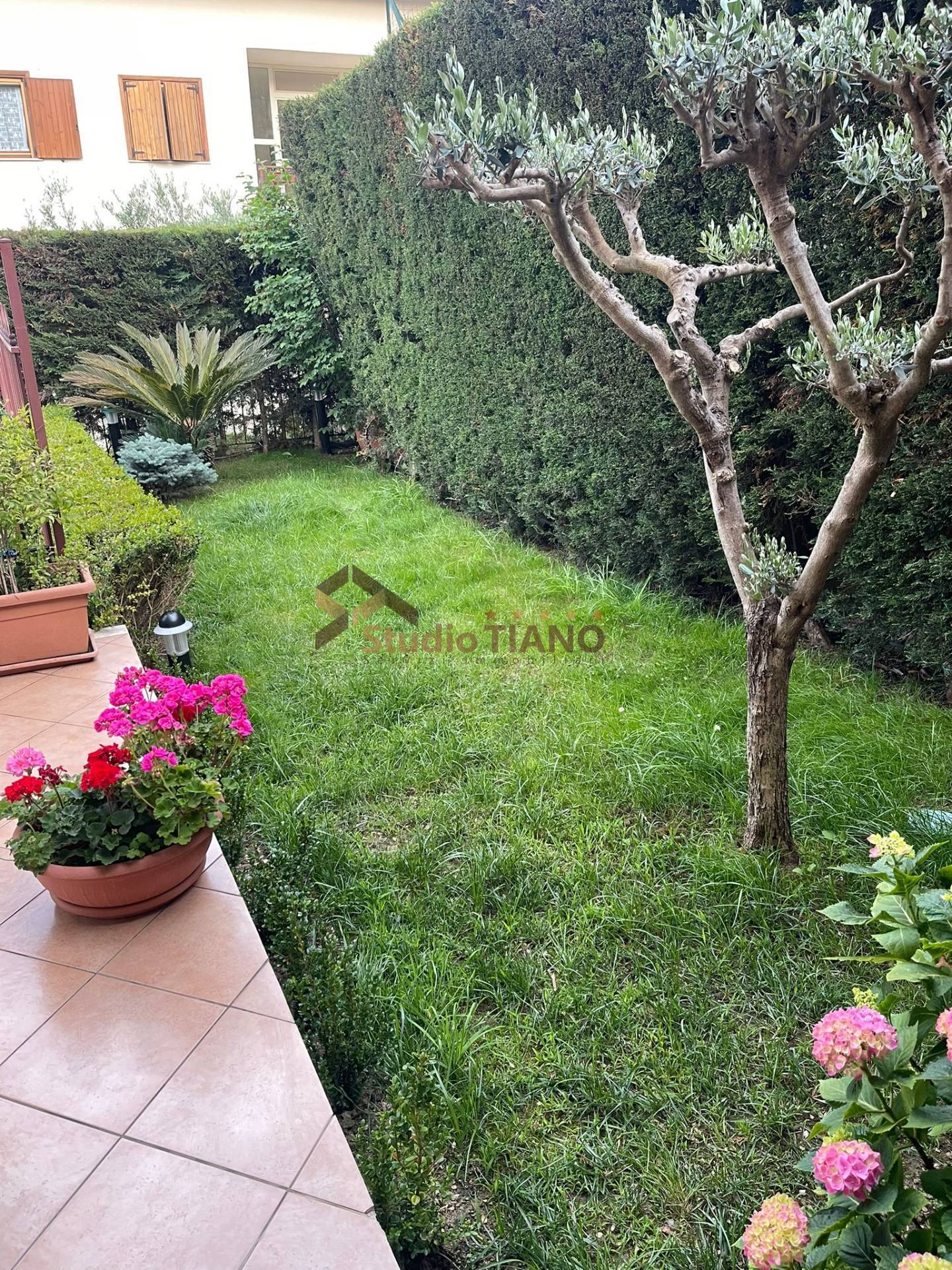 Appartamento in affitto a Marano Principato