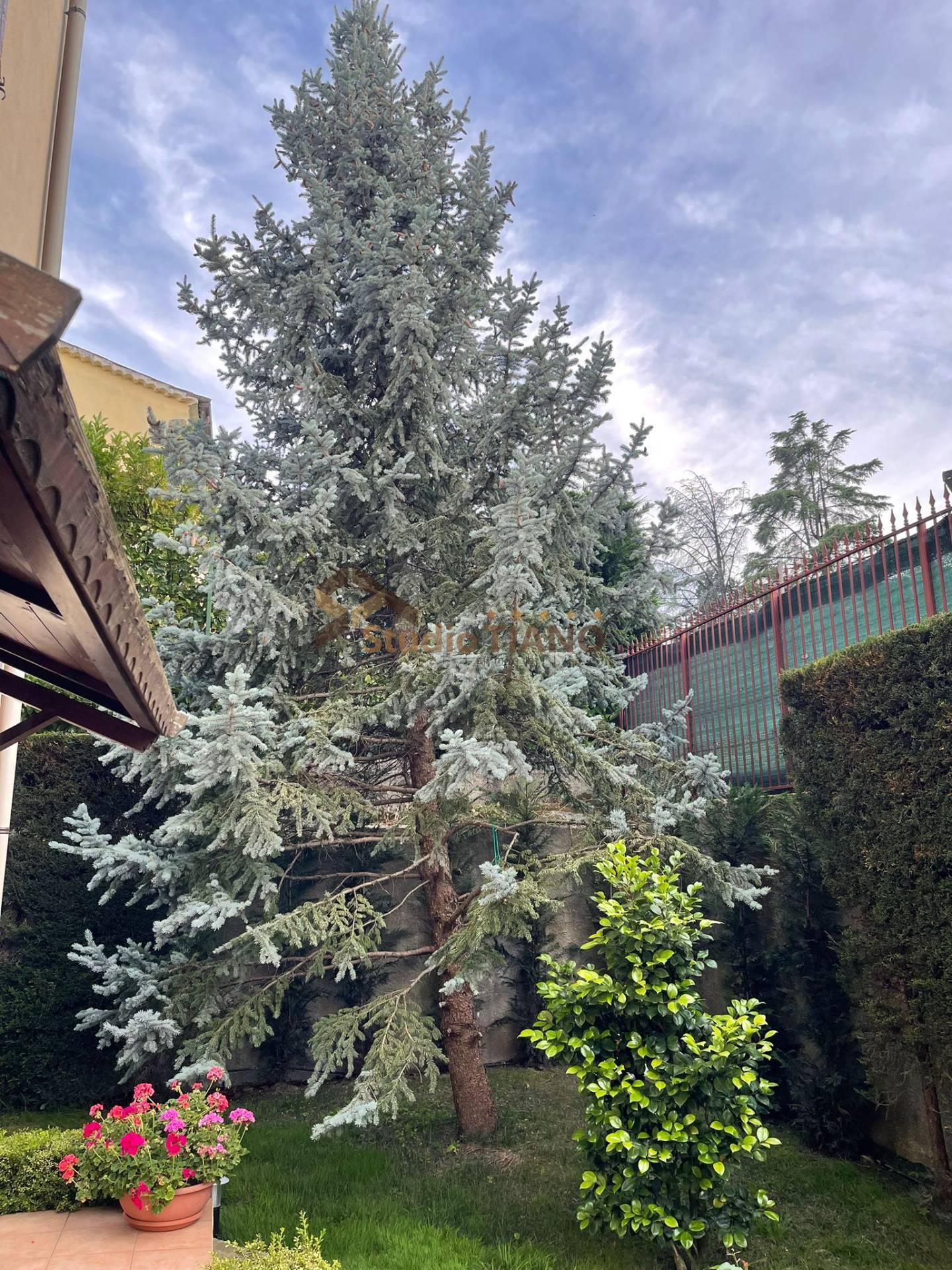 Appartamento in vendita a Marano Principato