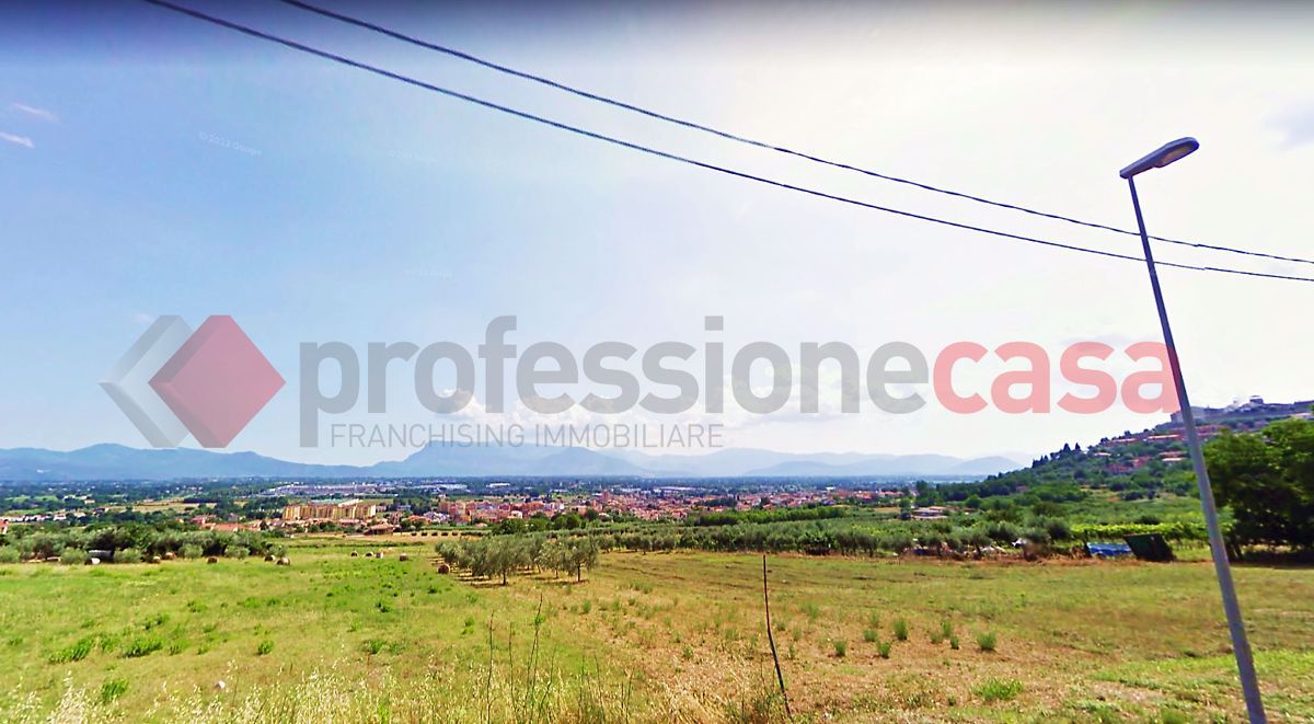Terreno Agricolo in vendita a Piedimonte San Germano