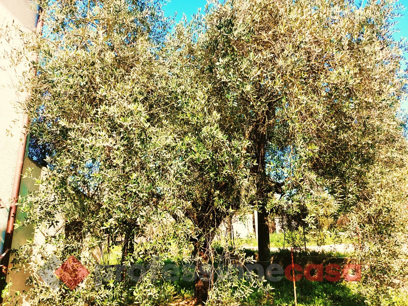 Casa indipendente in vendita a Rocca D'Evandro